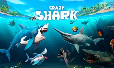 Crazy Shark img