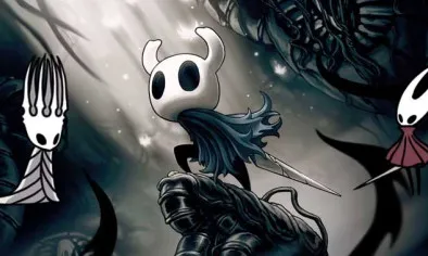 Hollow Knight Hollow Knight img