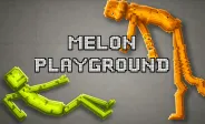 Melon Playground img