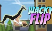 Wacky Flip Wacky Flip img