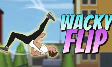 Wacky Flip Wacky Flip img